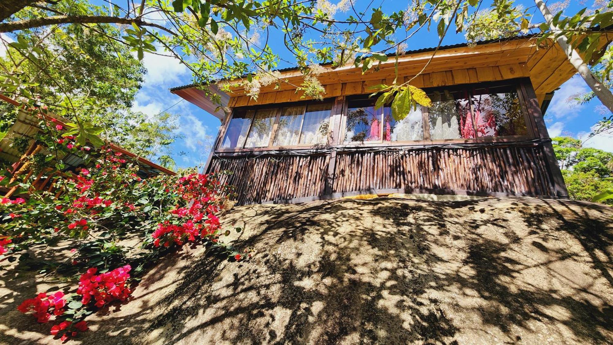 Hospedajes Richie Eco Camp Providencia Екстериор снимка