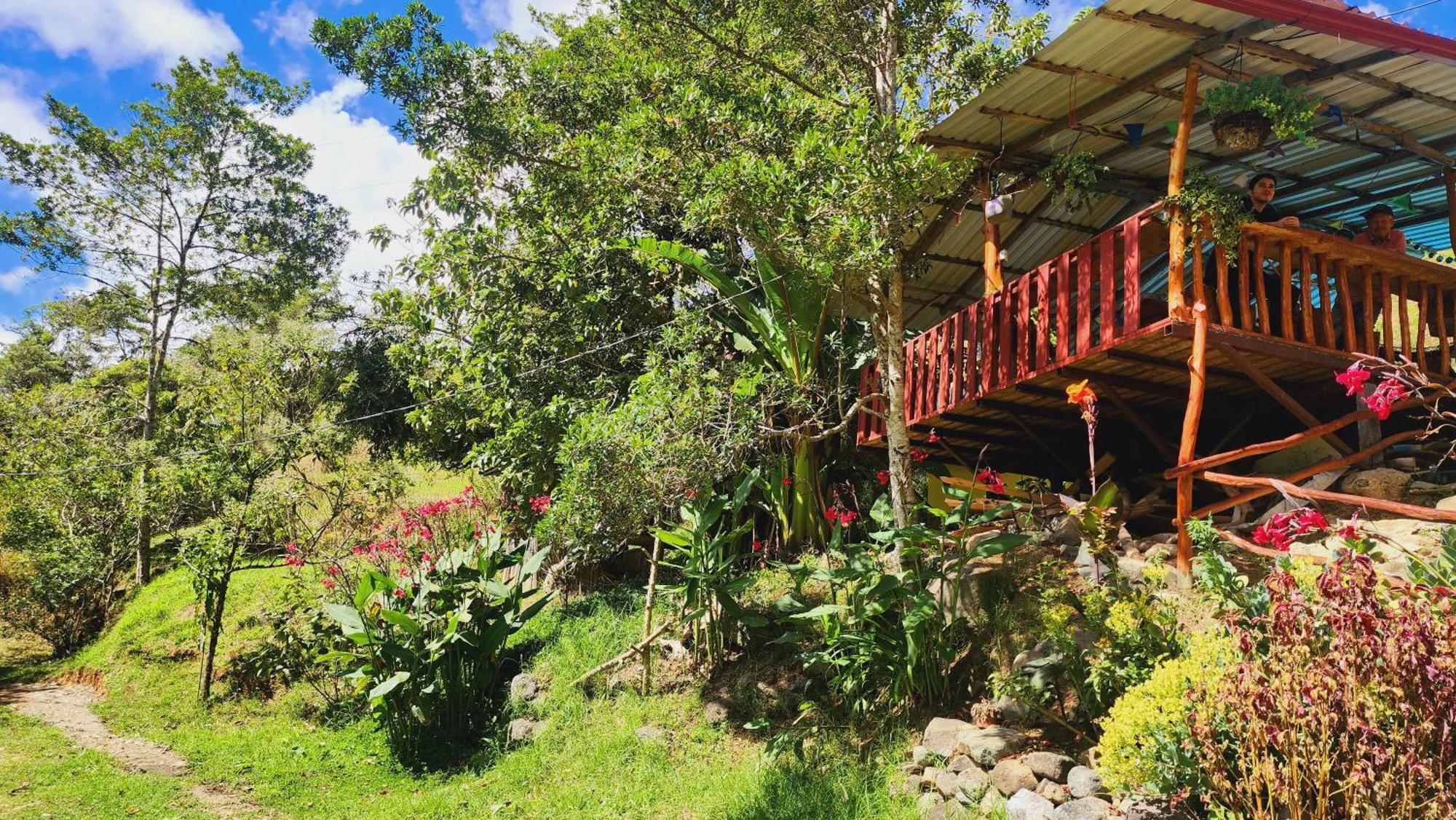 Hospedajes Richie Eco Camp Providencia Екстериор снимка