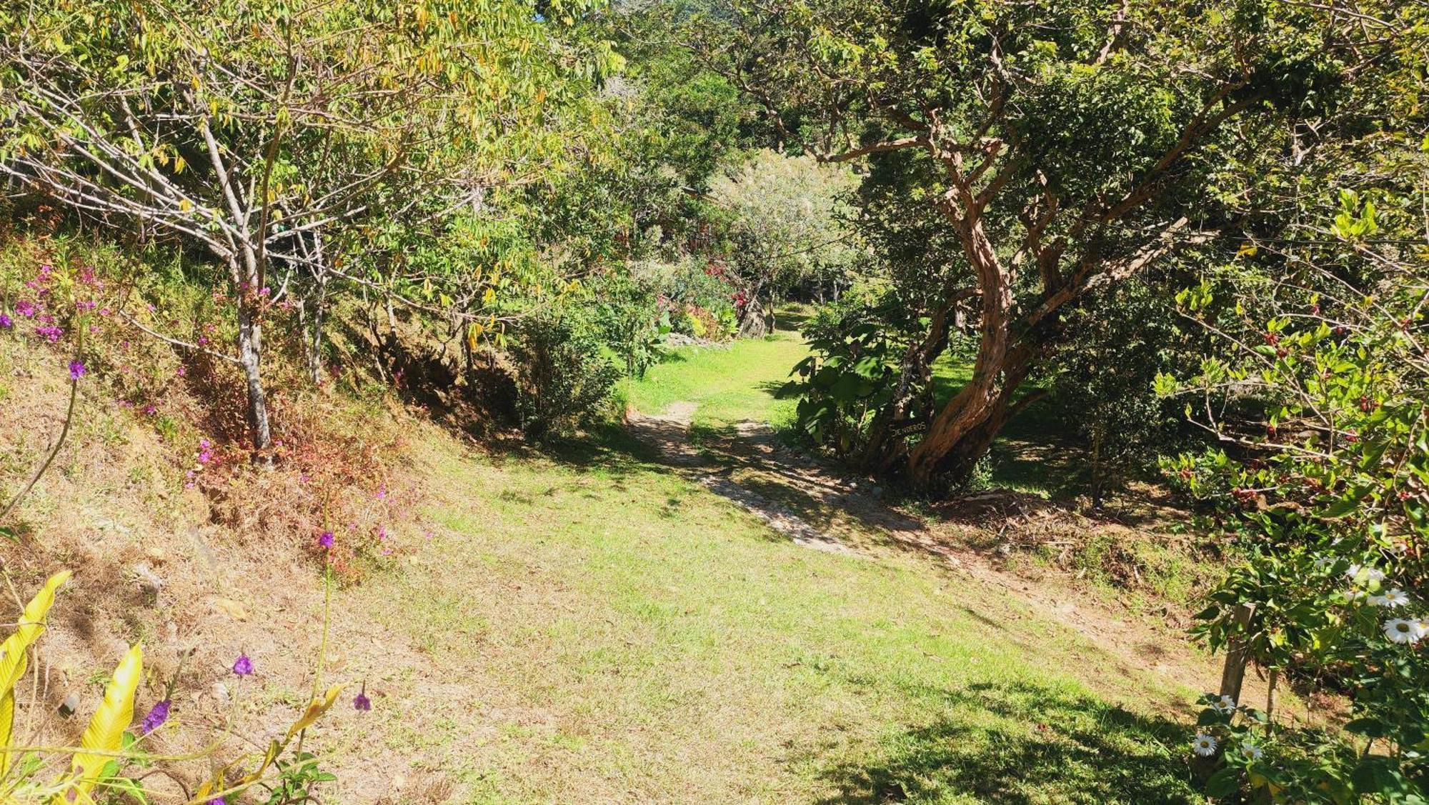 Hospedajes Richie Eco Camp Providencia Екстериор снимка