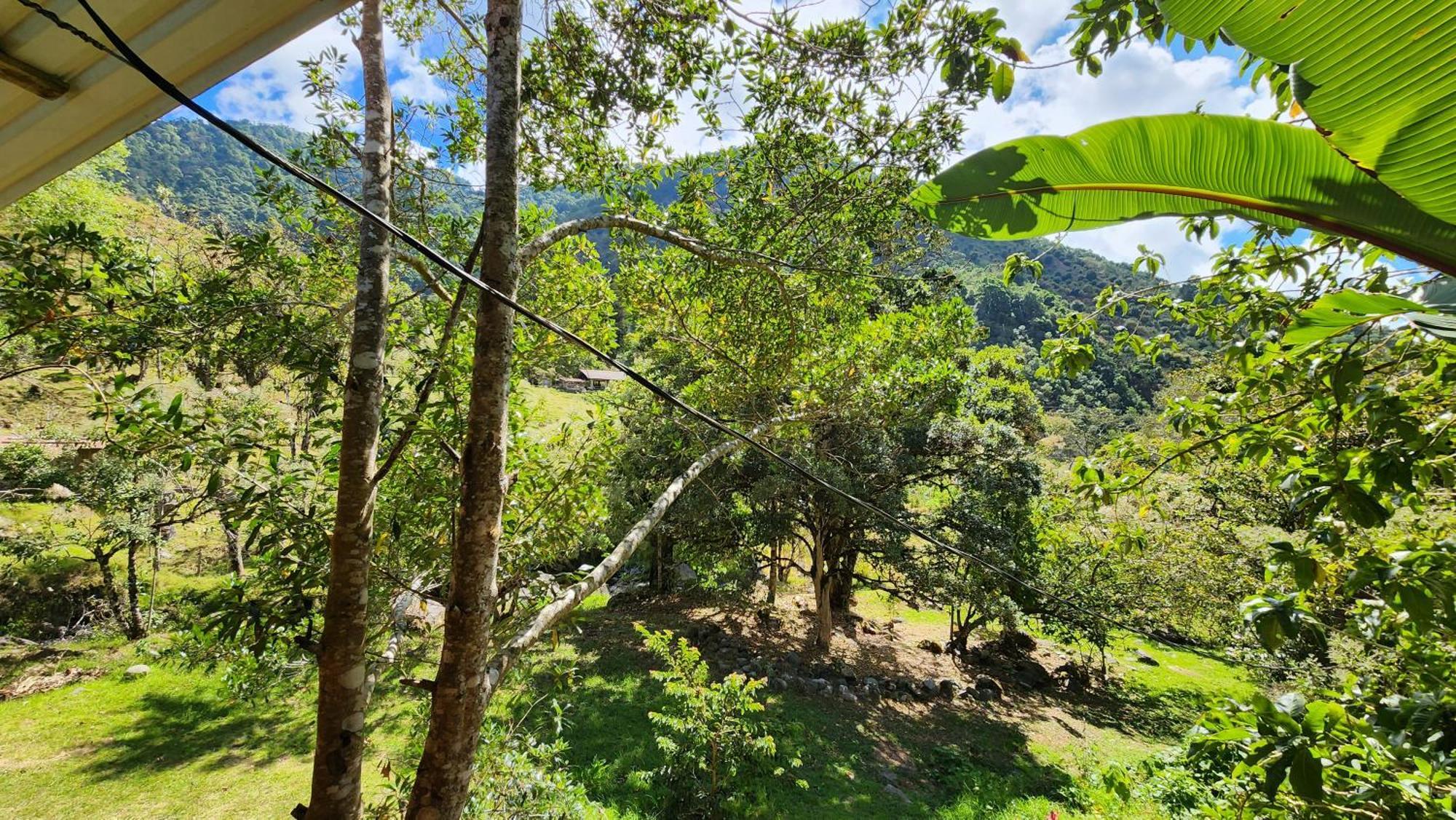 Hospedajes Richie Eco Camp Providencia Екстериор снимка