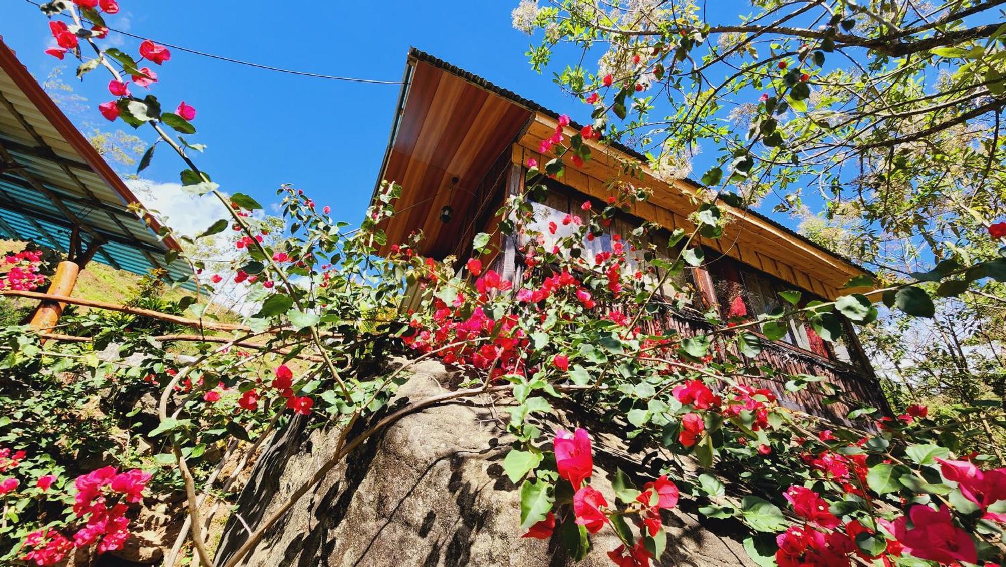 Hospedajes Richie Eco Camp Providencia Екстериор снимка