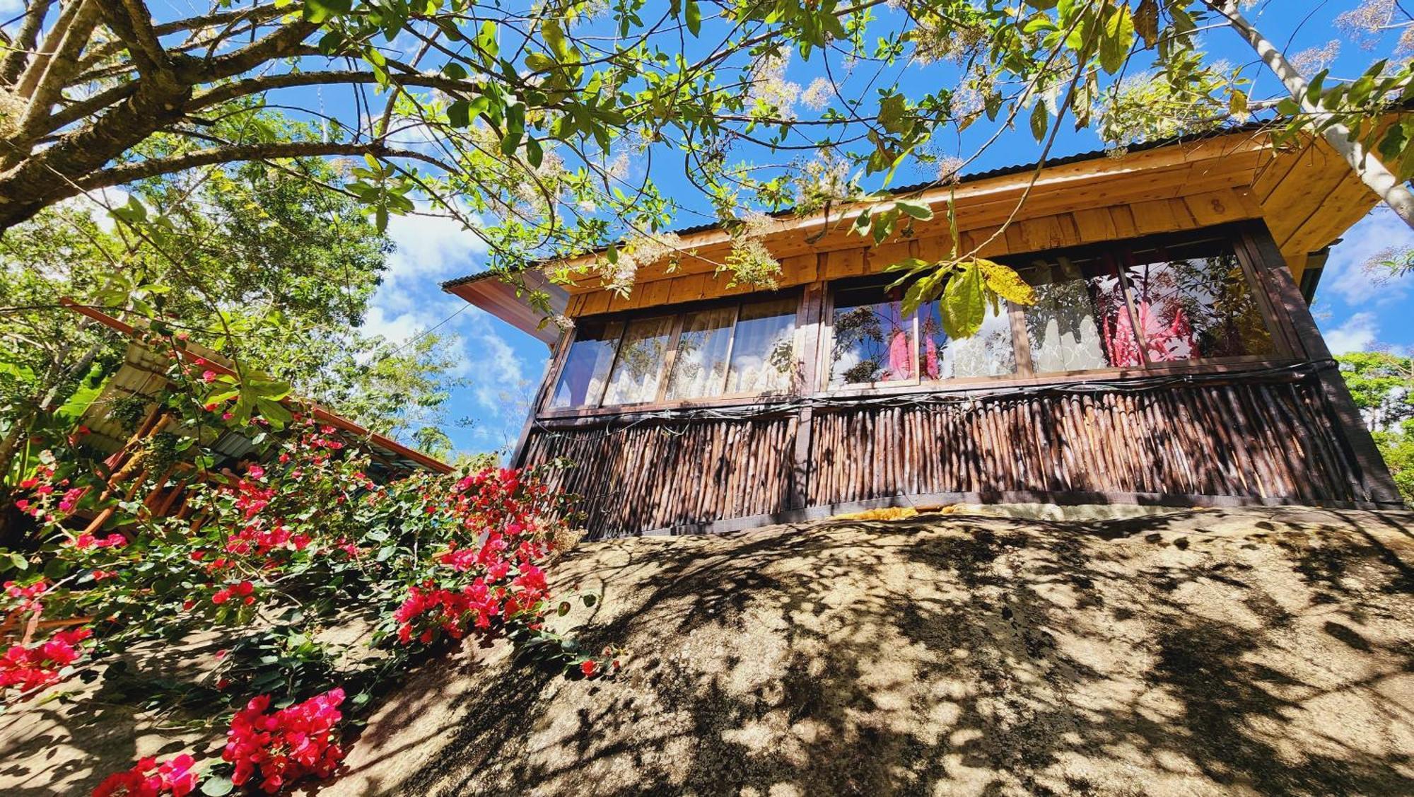 Hospedajes Richie Eco Camp Providencia Екстериор снимка